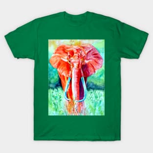 Elephant in Red T-Shirt